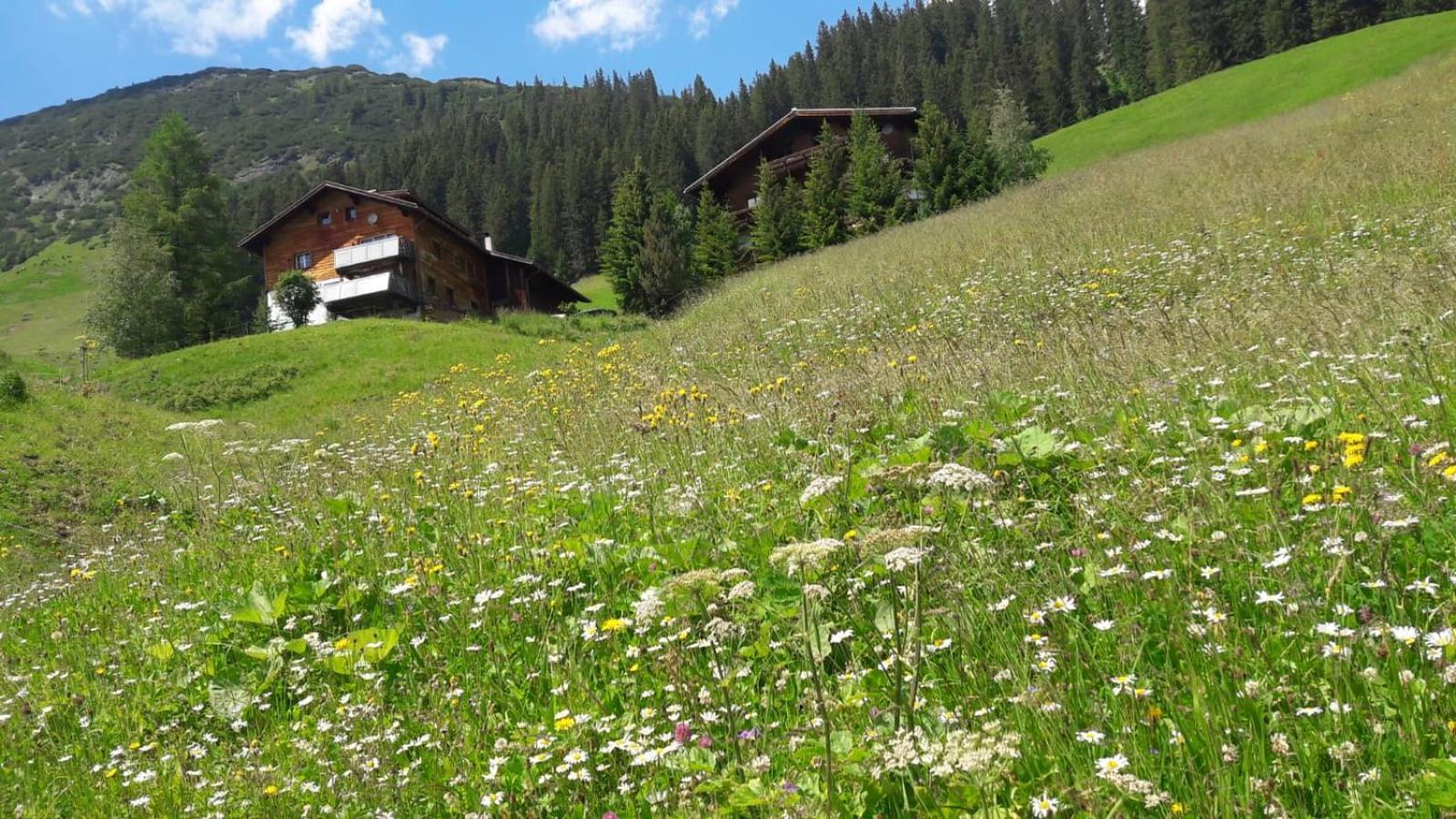 Haus Sonnenschein Apartamento Warth  Exterior foto